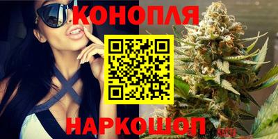 винт Ефремов