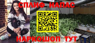 PSILOCYBIN Железноводск