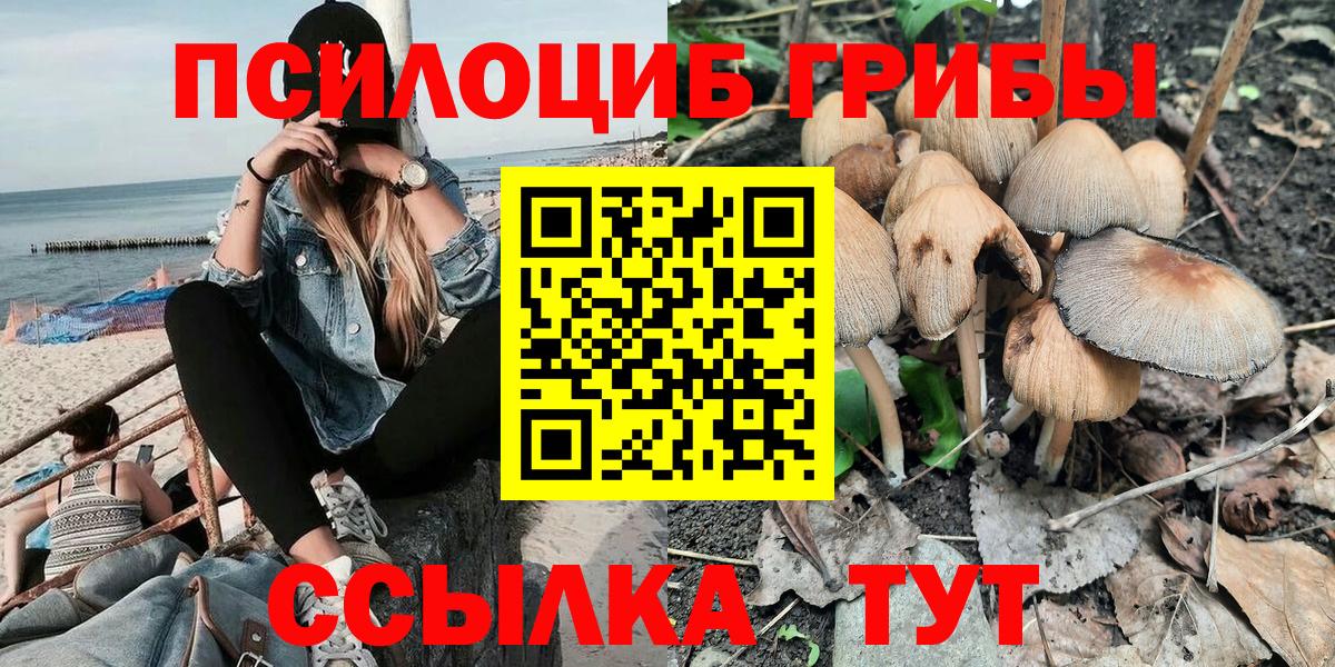 Ангарск  Галлюциногенные грибы Psilocybine cubensis  Вход с VPN 